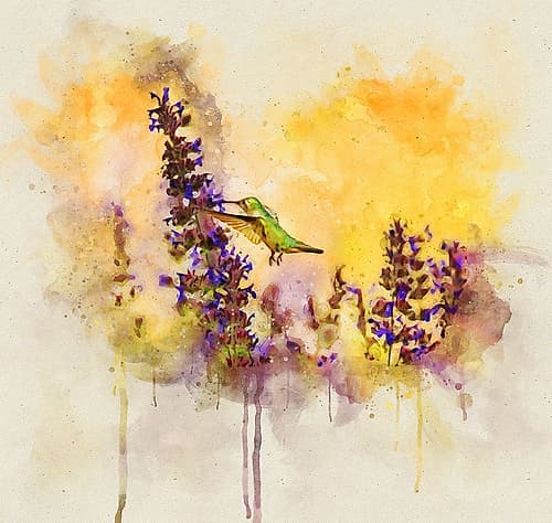 Bird 50 Watercolor Art Print