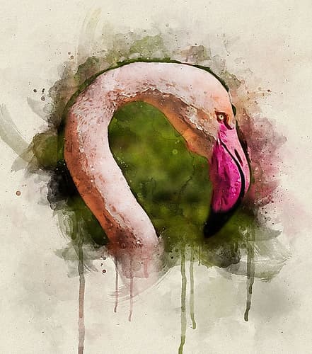 Bird 51 Watercolor Art Print