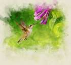 Bird 7 Watercolor Art Print