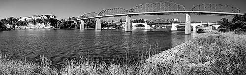 Bridge Poppies BW Art Print