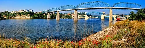 Bridge Poppies Color Art Print