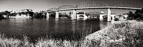 Bridge Poppies Sepia Glow Art Print