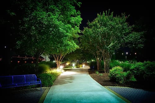 Coolidge Night Path Landscape Print