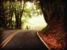 Country Road 10 Art Print