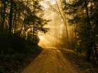 Country Road 11 Art Print