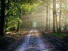 Country Road 12 Art Print