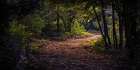 Country Road 13 Art Print