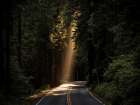 Country Road 15 Art Print
