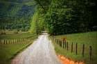 Country Road 2 Art Print
