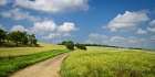 Country Road 20 Art Print