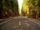 Country Road 3 Art Print