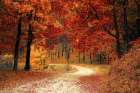 Country Road 9 Art Print