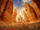 Desert 1 Art Print