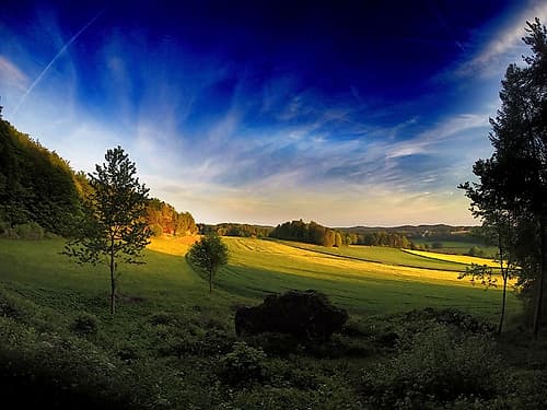Field 12 Landscape Print