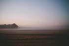 Foggy Field Art Print