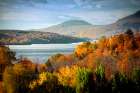 Forest Lake Art Print