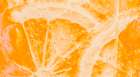 Fruit 1 Art Print