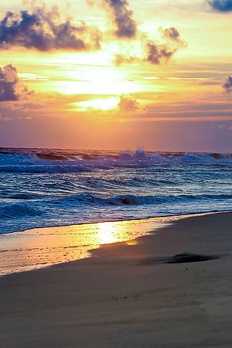 Gulf Shores 1 Coastal Print