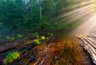 Hiwassee Morning Rays Art Print