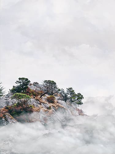 Mountain View 75 Landscape Print