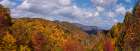 NC Fall Mountains 5 Art Print