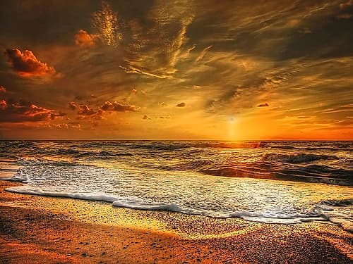 Ocean 56 Coastal Print