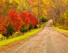 Old Country Road Art Print