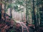 Pathway 5 Art Print