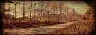 Prentice Road Pano Vintage Art Print