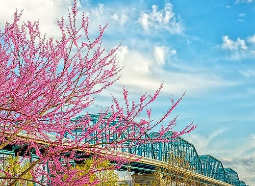 Scenic City 91 Landscape Print
