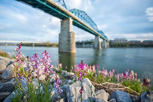 Scenic City 92 Landscape Print