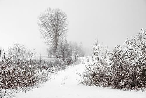 Snowy Farm Landscape Print