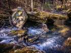 Stinging Fork Creek 7 Art Print
