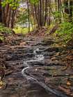 Stream 20 Art Print