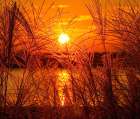 Sunset Lake 3 Art Print