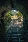 Train Enter Tunnel 1 Art Print