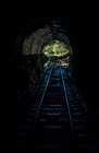 Train Enter Tunnel 2 Art Print