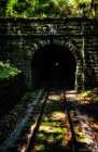 Train Enter Tunnel 4 Art Print