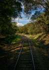 Train Track 3 Art Print
