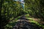 Train Track 5 Art Print
