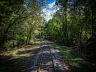 Train Track 7 Art Print