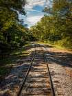 Train Track 8 Art Print