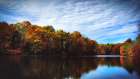 Trees and Water 5 Art Print
