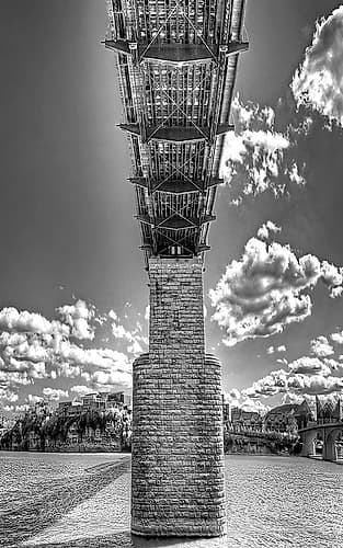 Under Walnut BW Art Print