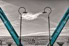 Walnut Love Mask Blue Rail Art Print