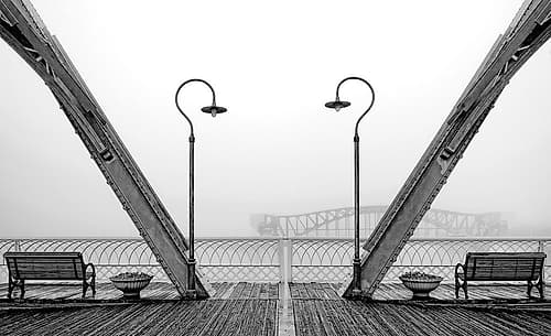 Walnut Posts in Fog BW Landscape Print