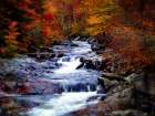 Waterfall 22 Art Print