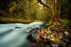 Waterfall 24 Art Print