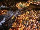 Waterfall 29 Art Print