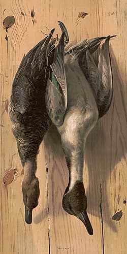 Ducks Art Print by Screendoor